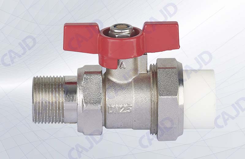 Q207 PP-R External wire live ball valve